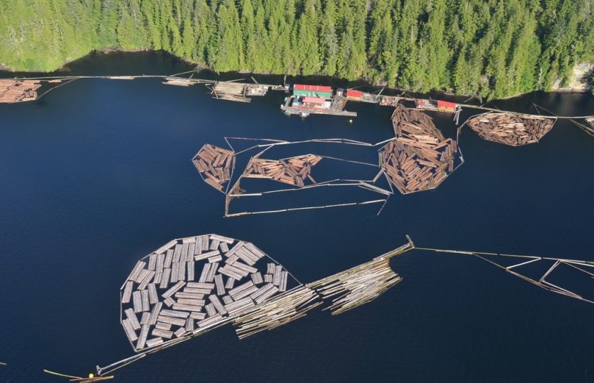 Hazard Zone Marked by Sealite Buoys at Log-Sort Operation