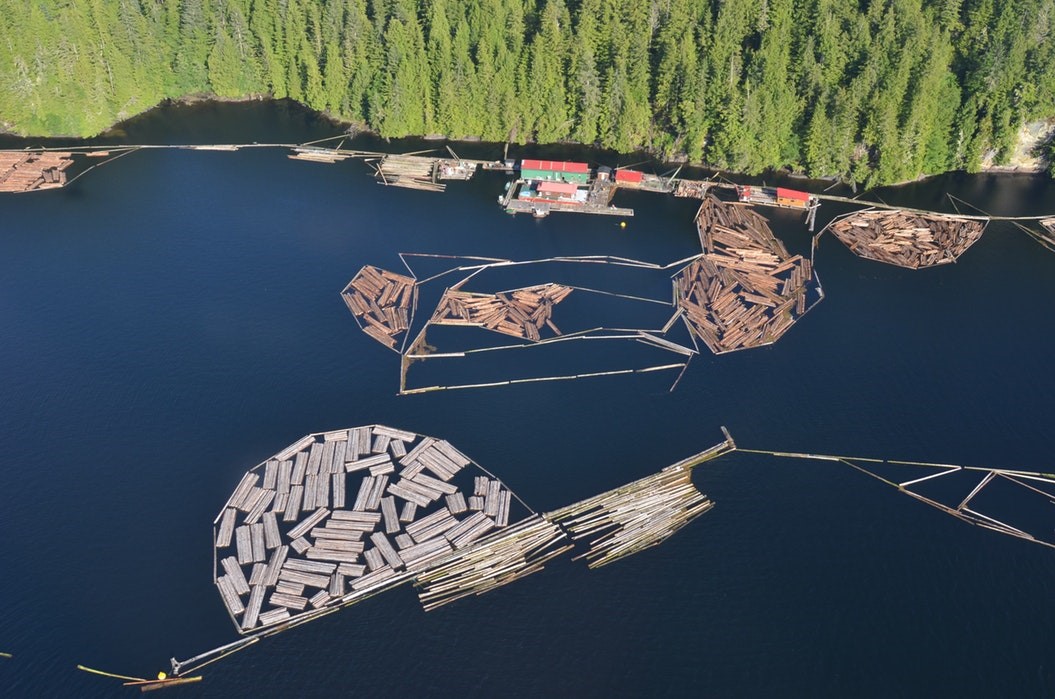 Hazard Zone Marked by Sealite Buoys at Log-Sort Operation
